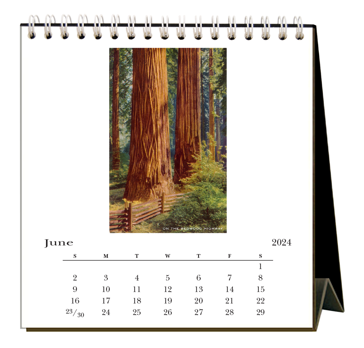 {Found Image Press} 2024 Desk Calendar California Ellington & French